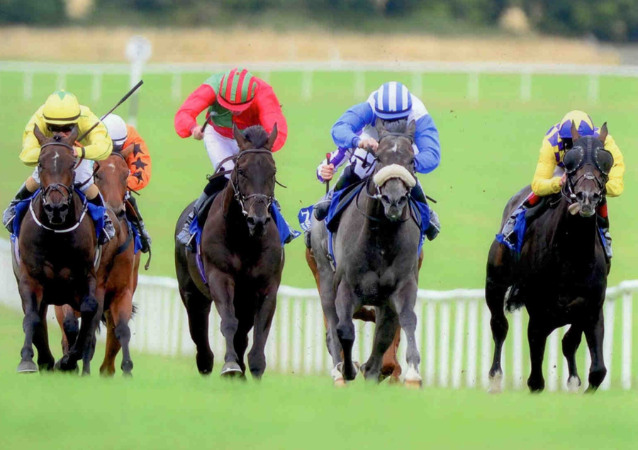 Greek Canyon Naas 5th Aug 2013